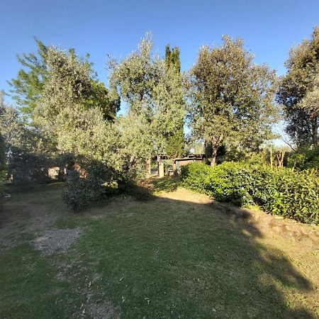 Вілла Tenuta Santa Maria Campagnatico Екстер'єр фото