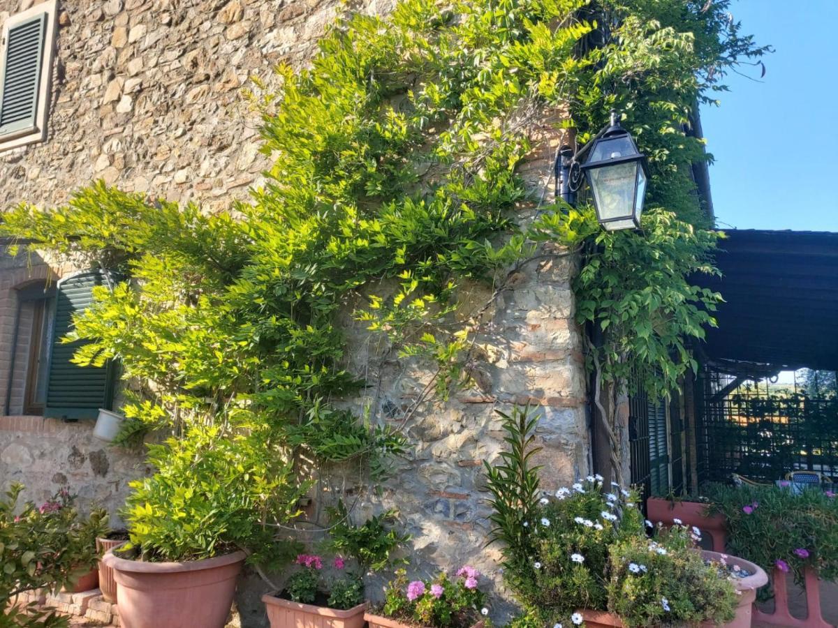 Вілла Tenuta Santa Maria Campagnatico Екстер'єр фото